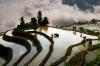 taiwan_yu-pei-huang_farming_digital-phototravel_highly-commended