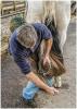 01-A-Day-in-The-Life-of-a-Farrier