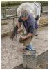 10-A-Day-in-The-Life-of-a-Farrier