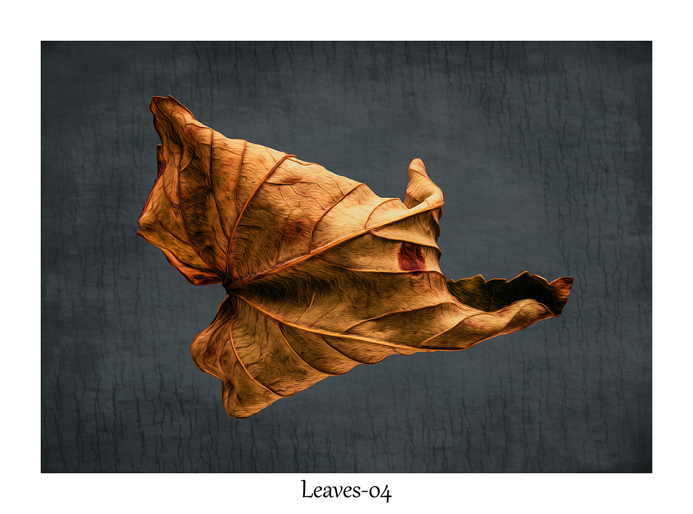Leaves-04