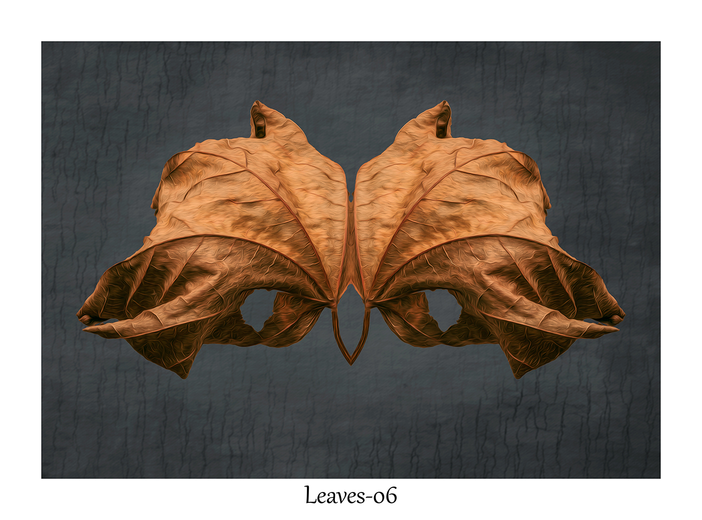 Leaves-06