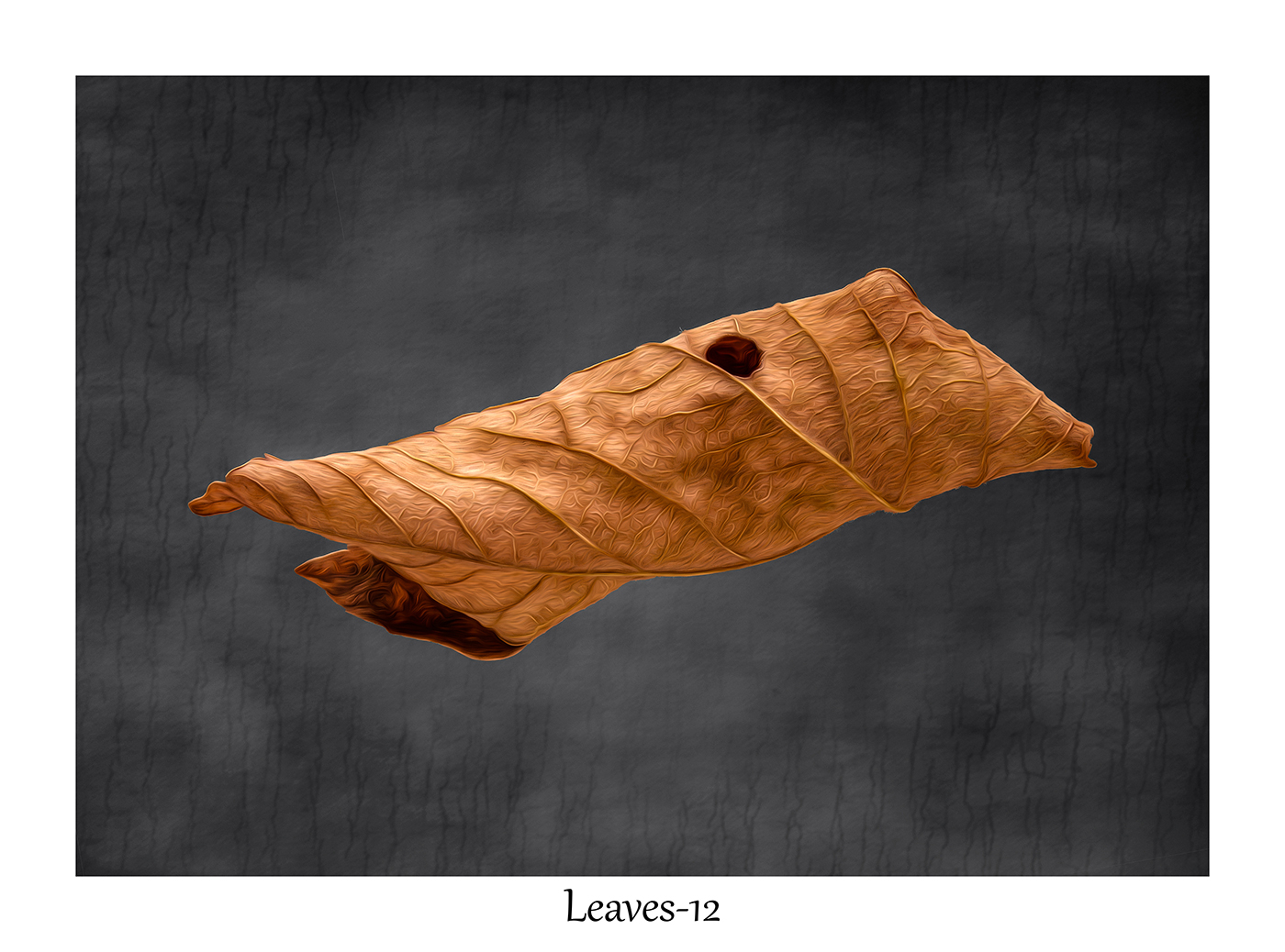 Leaves-12
