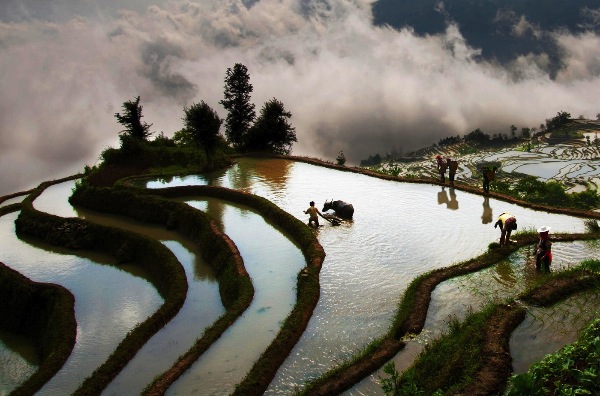 taiwan_yu-pei-huang_farming_digital-phototravel_highly-commended
