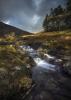 03-cadair-idris-stream-snowdonia-north-wales